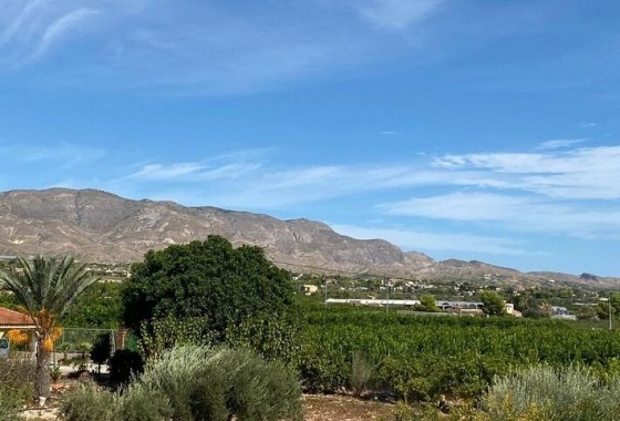 Revente - finca - Albatera - Pueblo 11