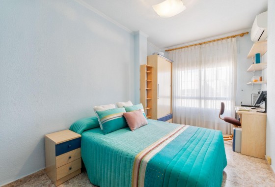Segunda Mano - Apartamento - Torrevieja - torrevieja