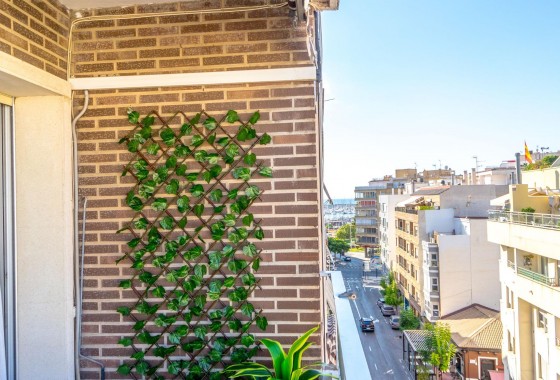 Segunda Mano - Apartamento - Torrevieja - torrevieja