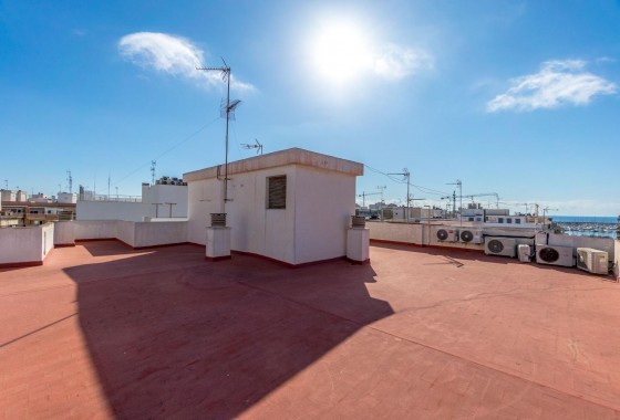 Segunda Mano - Apartamento - Torrevieja - torrevieja