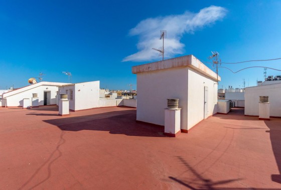 Segunda Mano - Apartamento - Torrevieja - torrevieja