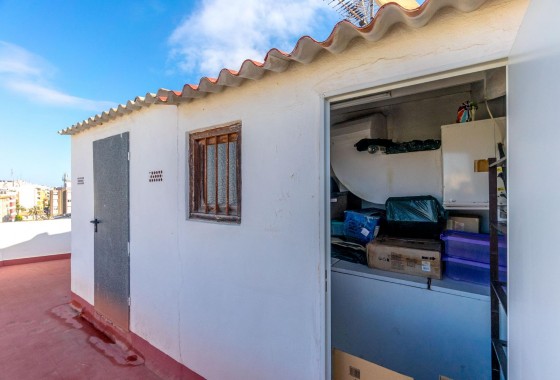 Segunda Mano - Apartamento - Torrevieja - torrevieja
