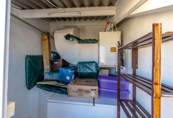 Segunda Mano - Apartamento - Torrevieja - torrevieja