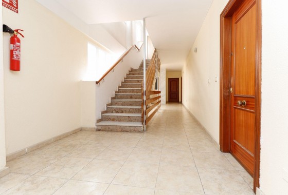 Segunda Mano - Apartamento - Torrevieja - torrevieja