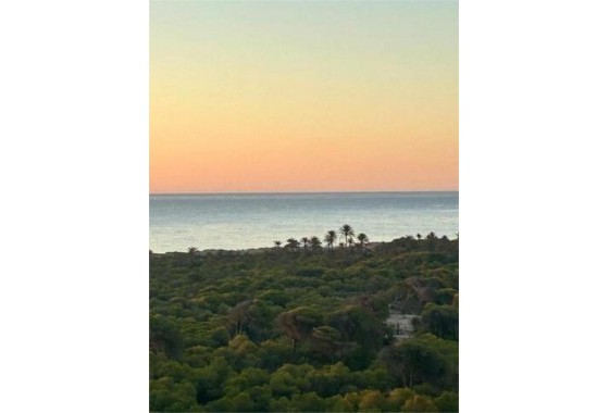 Segunda Mano - Apartamento - Torrevieja - torrevieja