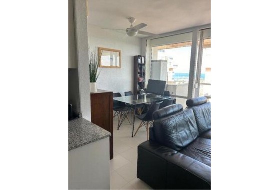 Segunda Mano - Apartamento - Torrevieja - torrevieja