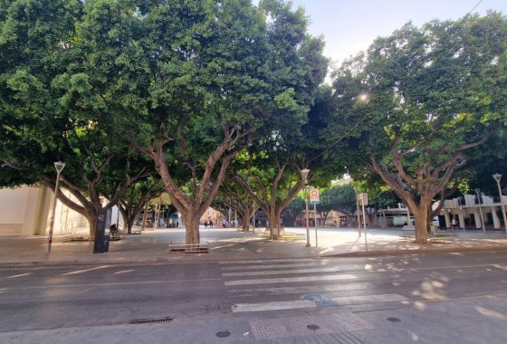 Segunda Mano - Apartamento - Almoradí - Centro urbano 2