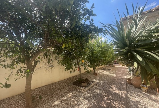 Resale - Detached Villa - Algorfa