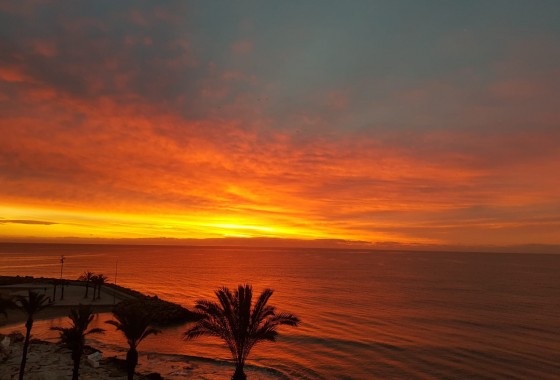 Revente - Appartement - Torrevieja - Playa del Cura