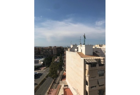 Segunda Mano - Apartamento - Torrevieja - torrevieja