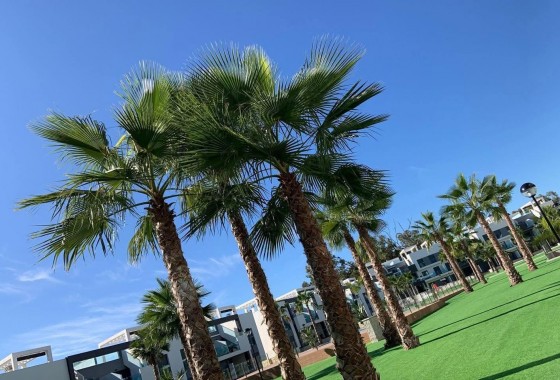 Segunda Mano - Bungalow - Guardamar del Segura - EL RASO