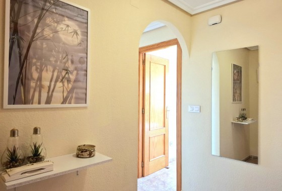 Segunda Mano - Apartamento - Torrevieja