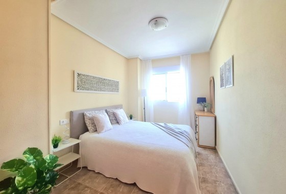 Segunda Mano - Apartamento - Torrevieja