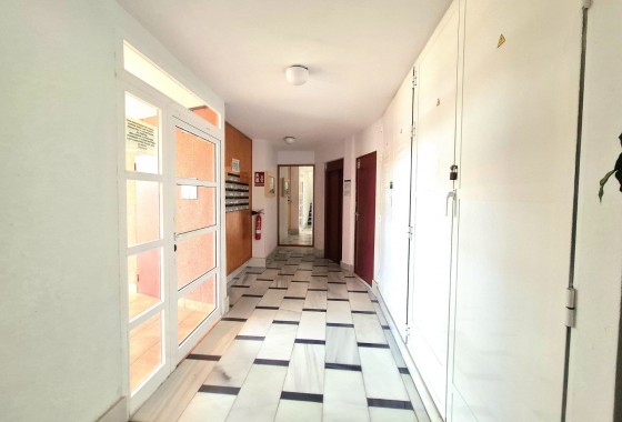 Segunda Mano - Apartamento - Torrevieja