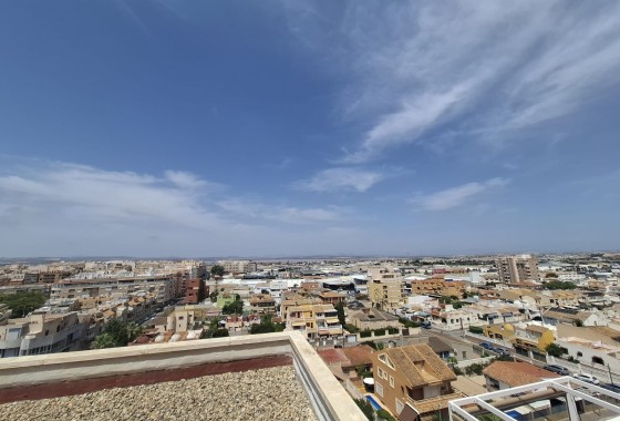 Segunda Mano - Apartamento - Torrevieja