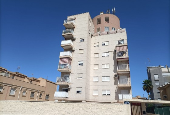 Segunda Mano - Apartamento - Torrevieja