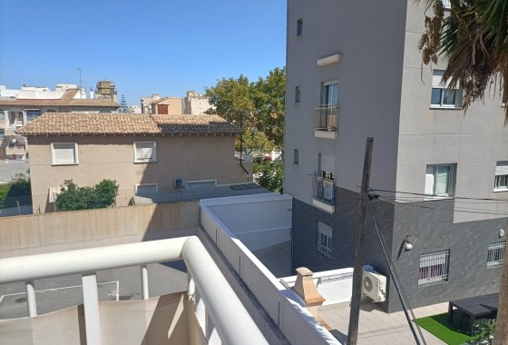 Segunda Mano - Apartamento - Torrevieja