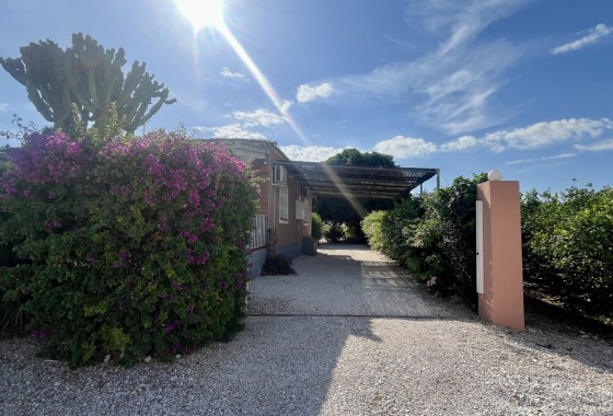 Segunda Mano - Chalet - Orihuela Costa - Orihuela