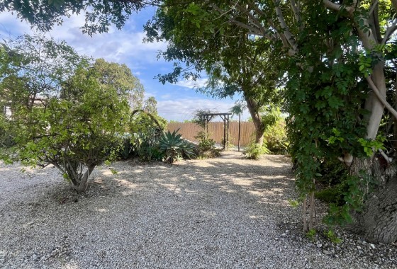 Segunda Mano - Chalet - Orihuela Costa - Orihuela