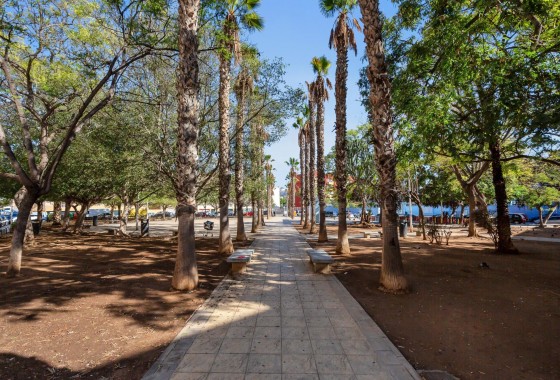 Revente - Appartement - Torrevieja - Playa de los locos