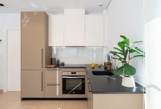 Nouvelle construction - Villa - La marina - El pinet