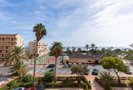 Segunda Mano - Apartamento - Torrevieja - La Mata