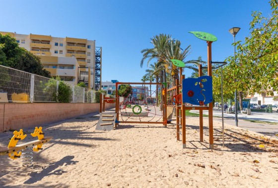 Segunda Mano - Apartamento - Torrevieja - Estacion de autobuses