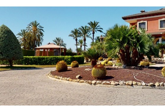 Revente - Villa - Elche