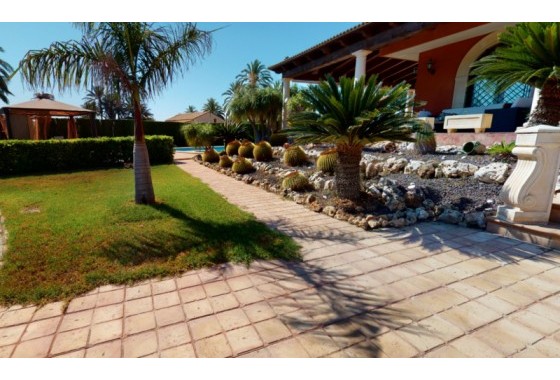 Revente - Villa - Elche