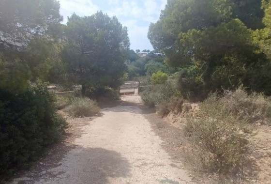 Resale - Detached Villa - Orihuela Costa