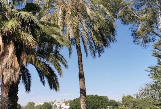 Resale - Apartment - Orihuela Costa