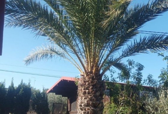 Segunda Mano - Chalet - Elche