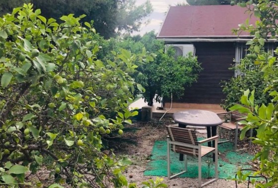 Segunda Mano - finca - Orihuela Costa - Orihuela