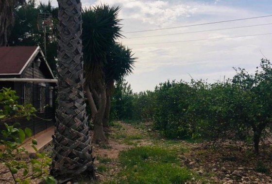 Segunda Mano - finca - Orihuela Costa - Orihuela