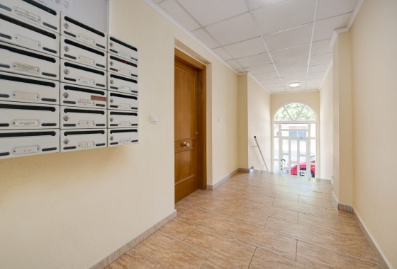 Segunda Mano - Apartamento - Jacarilla