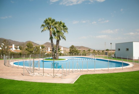 Nouvelle construction - Villa - Fuente alamo de Murcia - Las Palas