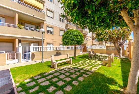 Revente - Appartement - Torrevieja - Centro