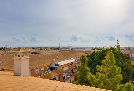 Segunda Mano - Apartamento - Pilar de la Horadada