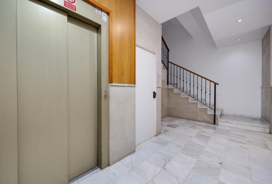 Segunda Mano - Apartamento - Pilar de la Horadada