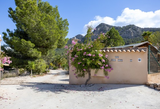 Revente - Independent villa - La Zarza - La Zarza Murcia