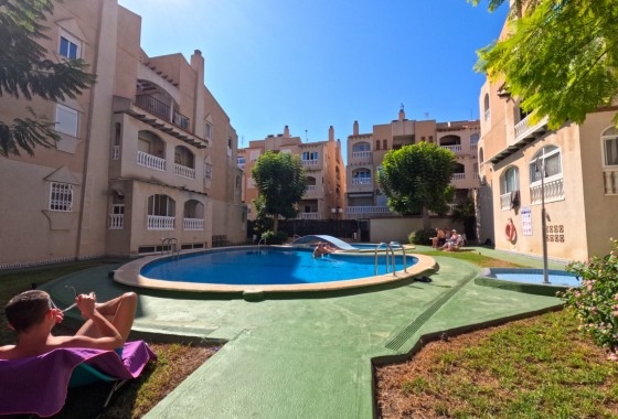 Segunda Mano - Apartamento - Torrevieja