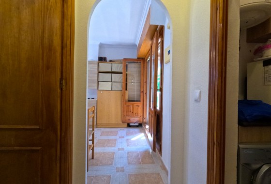 Segunda Mano - Apartamento - Torrevieja