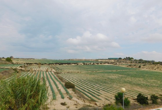 Revente - Villa - San Miguel de Salinas - San Miguel Salinas