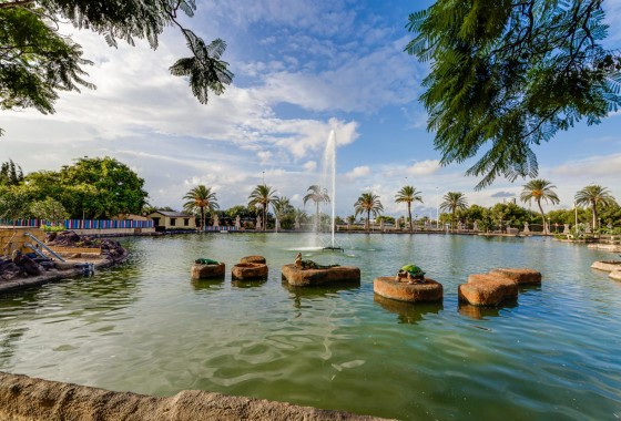 Revente - Appartement - Torrevieja - Centro