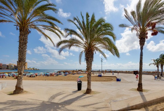 Revente - Appartement - Torrevieja - Centro