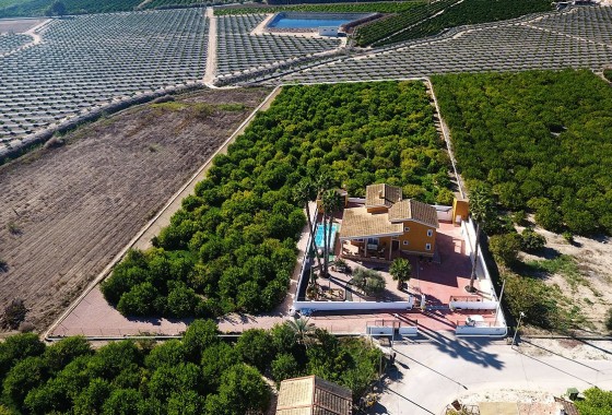 Resale - finca - Orihuela Costa - Orihuela