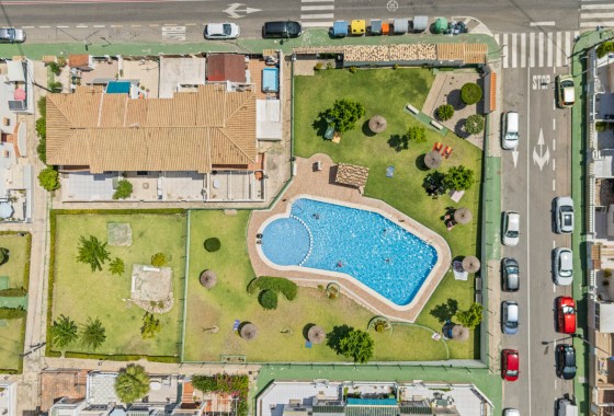 Segunda Mano - Bungalow - Torrevieja - Lago jardin