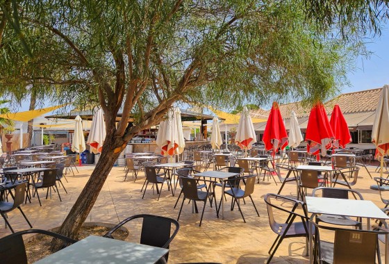 Revente - Maison de ville - Torrevieja - Los Angeles