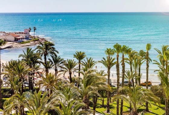 Revente - Maison de ville - Torrevieja - Los Angeles