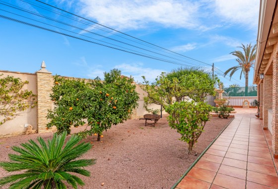 Revente - Chalet - Torrevieja